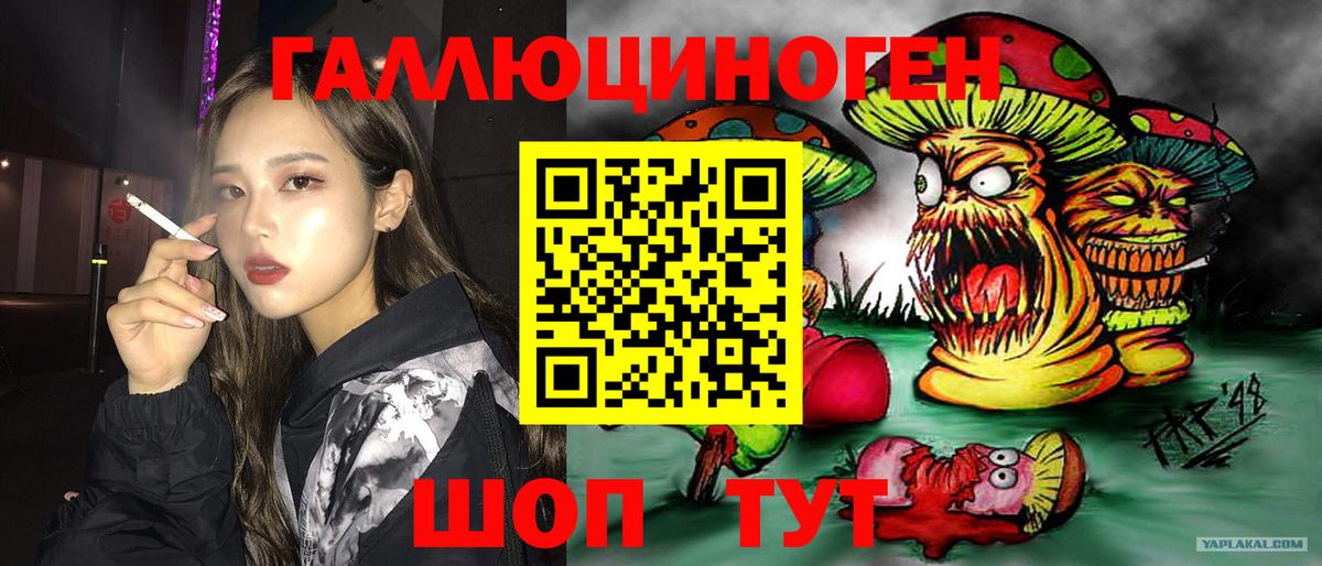Галлюциногенные грибы MAGIC MUSHROOMS  Вход с VPN  Новокуйбышевск 